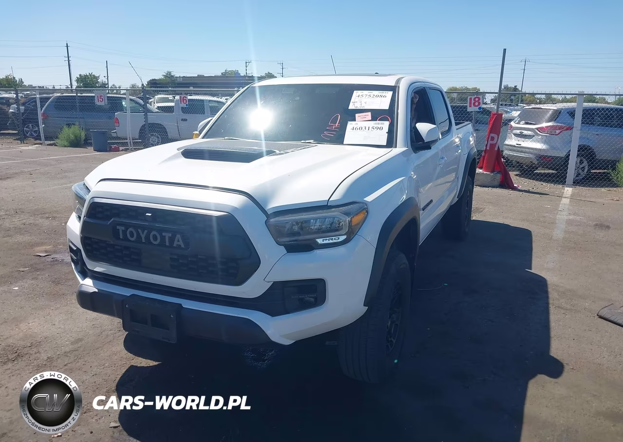 2023 Toyota Tacoma Trd Pro VIN:3TYCZ5ANXPT107112 - 2