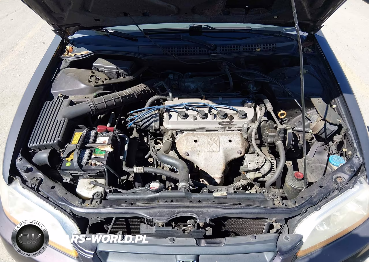 1998 Honda Accord Lx VIN:1HGCG3244WA006625 - 10