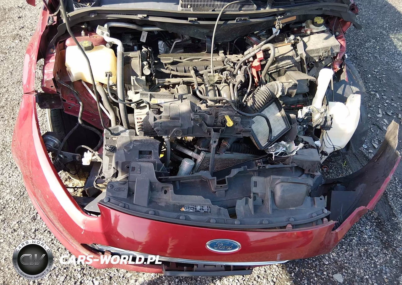 2014 Ford Fiesta Se VIN:3FADP4BJ1EM156178 - 10