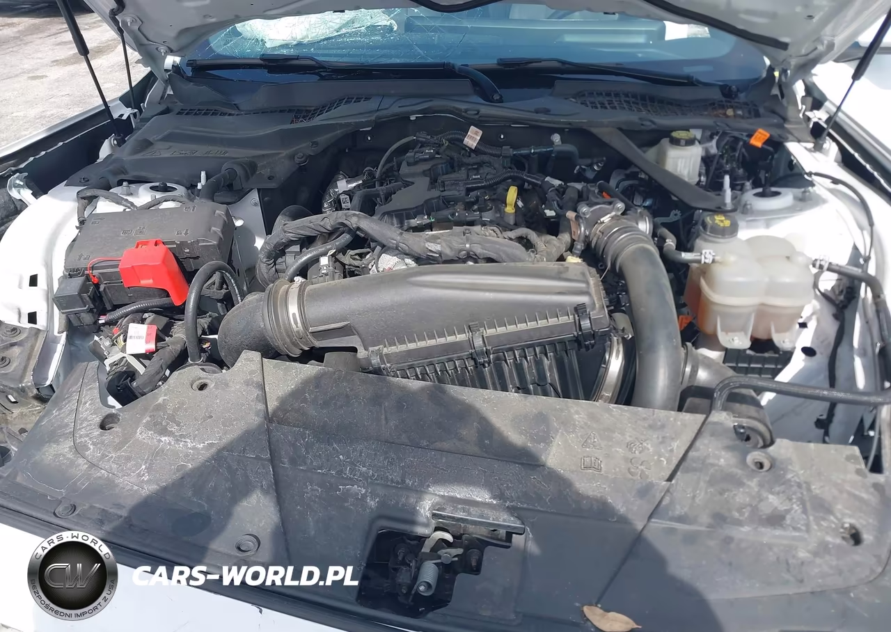 2024 Ford Mustang Ecoboost Premium VIN:1FAGP8UH5R5131536 - 10