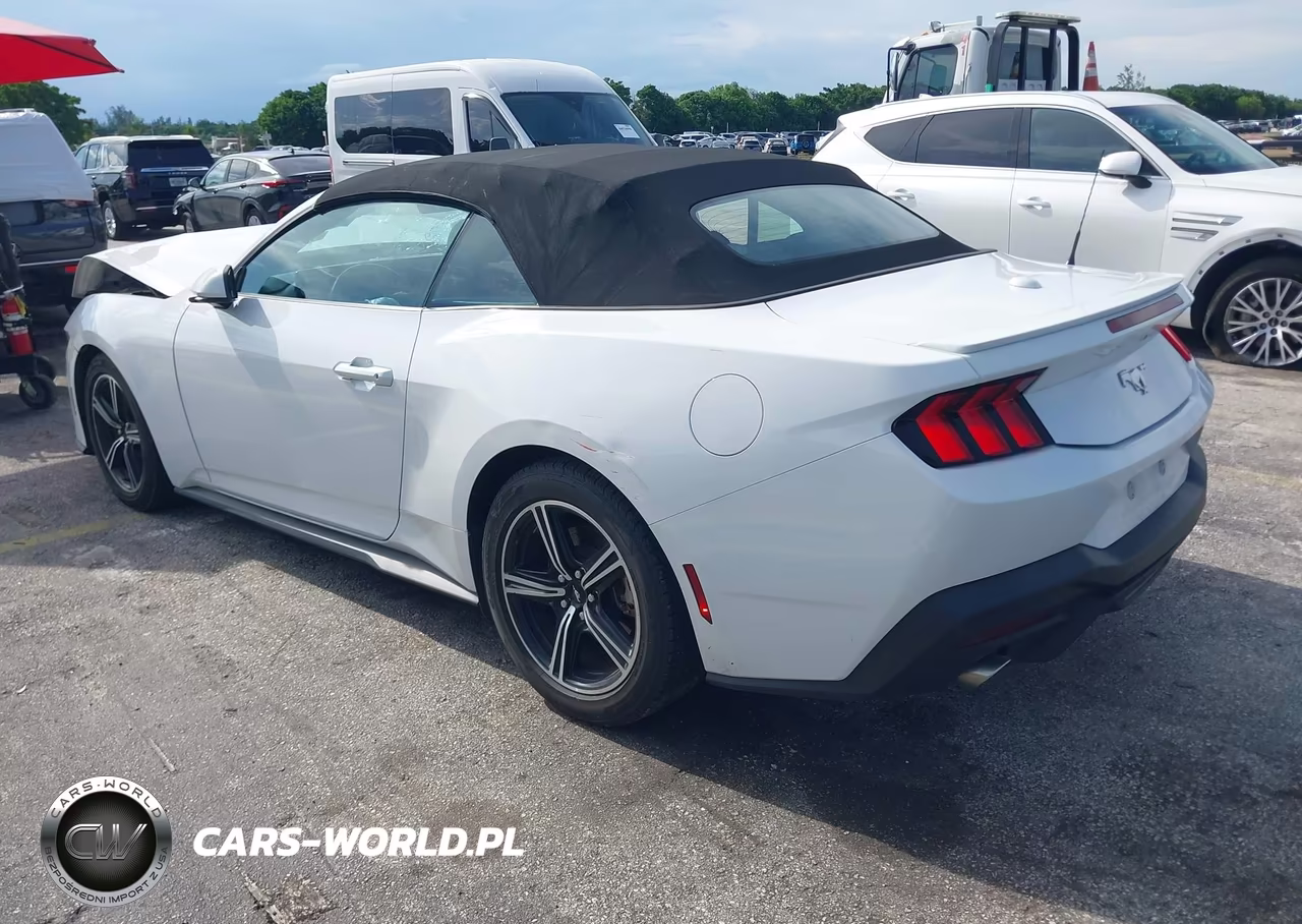 2024 Ford Mustang Ecoboost Premium VIN:1FAGP8UH5R5131536 - 3