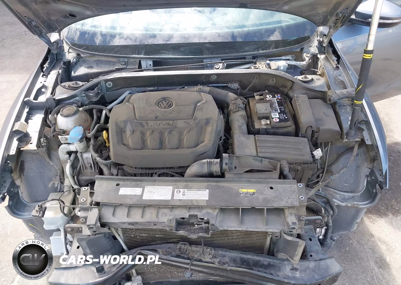 2019 Volkswagen Passat 2.0T Wolfsburg Edition VIN:1VWLA7A30KC009839 - 10