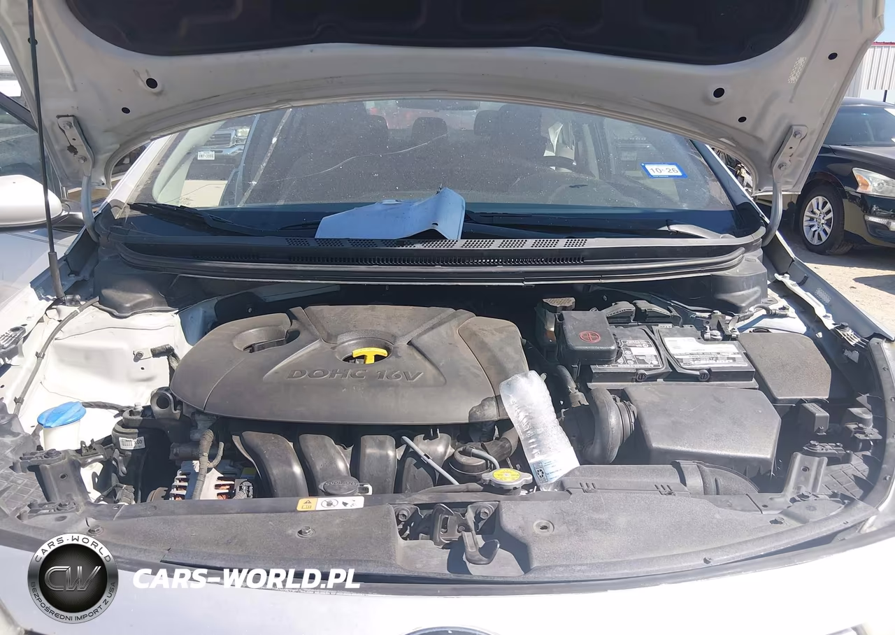 2016 Kia Forte Lx VIN:KNAFK4A69G5523221 - 10