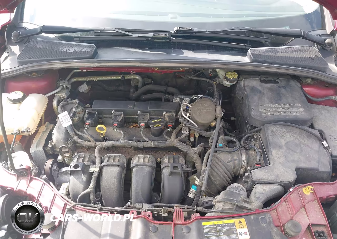 2013 Ford Focus Se VIN:1FADP3F29DL156426 - 10