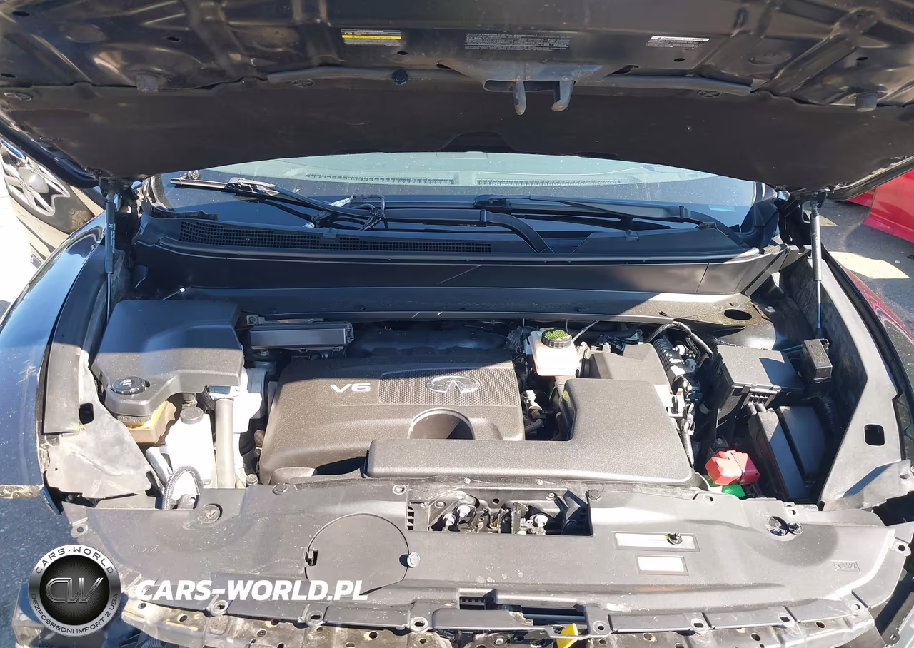 2019 Infiniti Qx60 Luxe VIN:5N1DL0MM3KC508711 - 10
