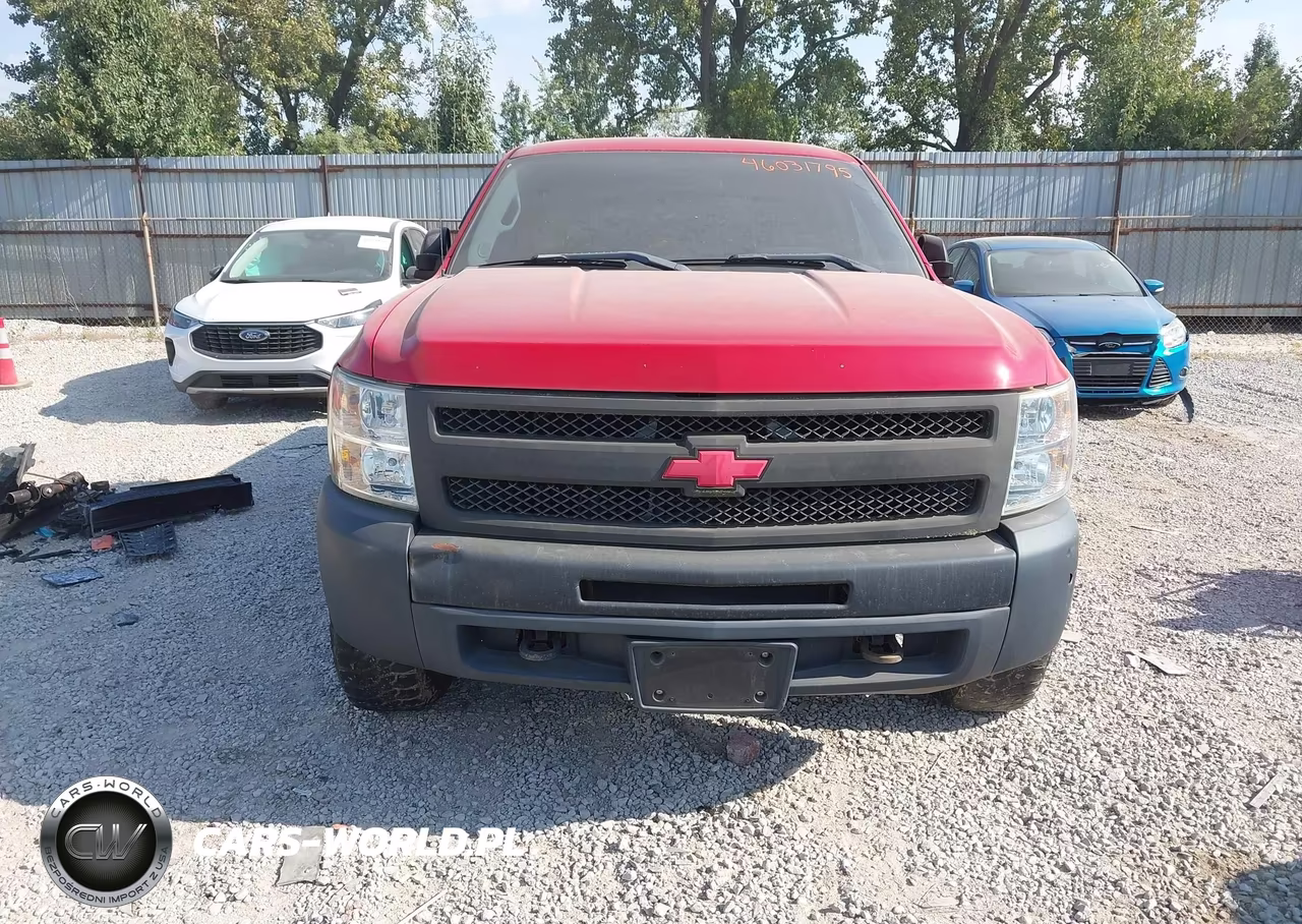 2010 Chevrolet Silverado 1500 Work Truck VIN:1GCSKPE36AZ103368 - 12