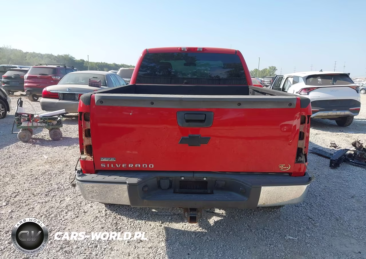 2010 Chevrolet Silverado 1500 Work Truck VIN:1GCSKPE36AZ103368 - 16
