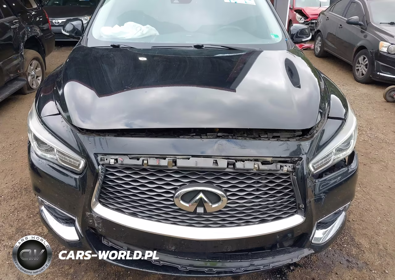 2019 Infiniti Qx60 Luxe VIN:5N1DL0MM7KC526306 - 10