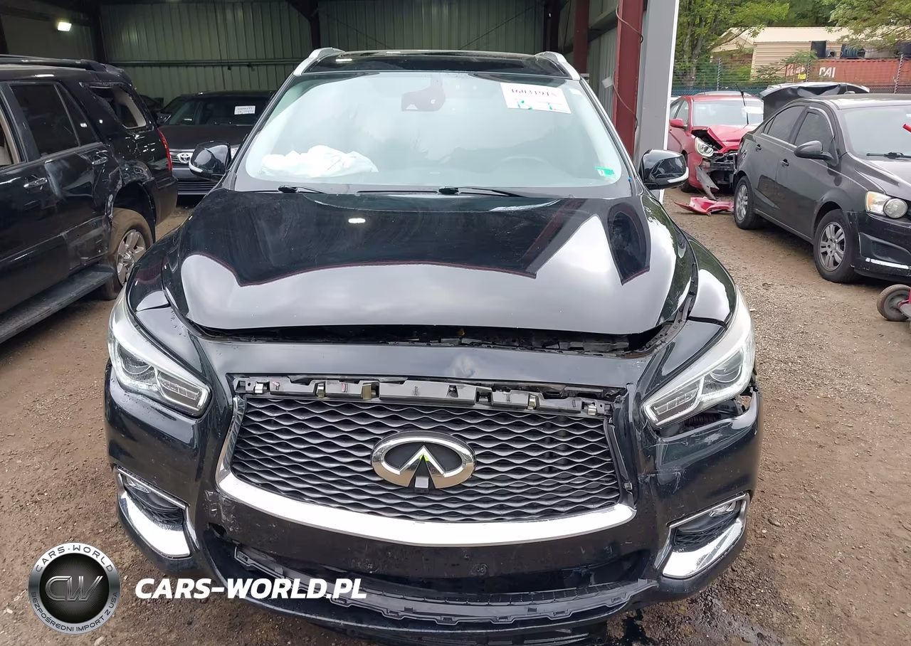 2019 Infiniti Qx60 Luxe VIN:5N1DL0MM7KC526306 - 12