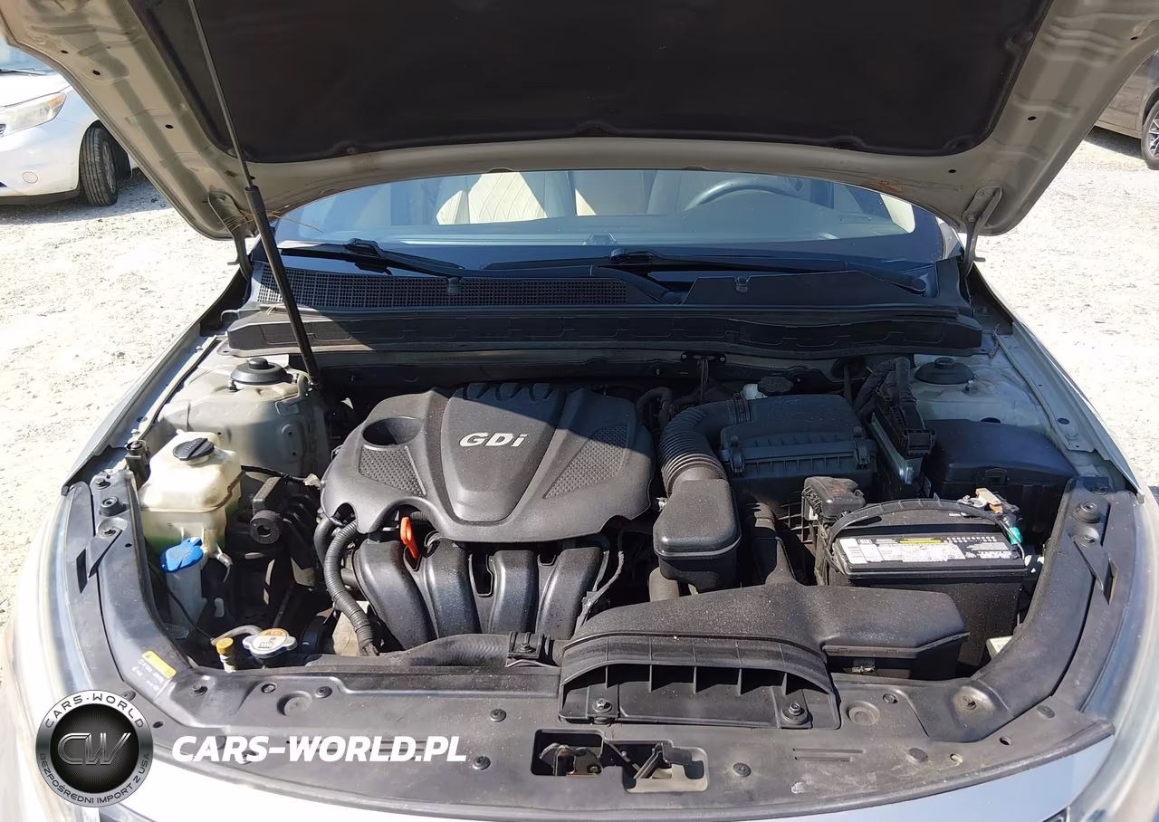 2014 Kia Optima Lx VIN:KNAGM4A71E5494432 - 10