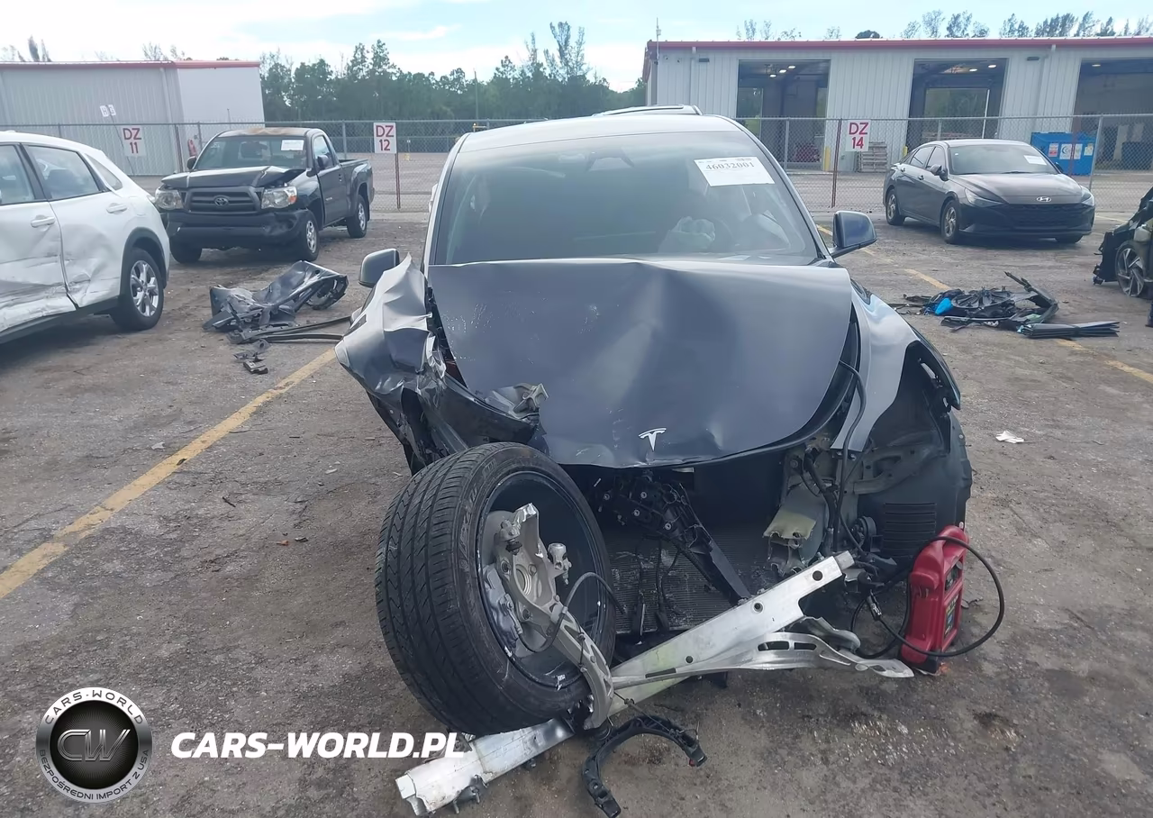 2024 Tesla Model Y VIN:7SAYGDED7RF096387 - 10