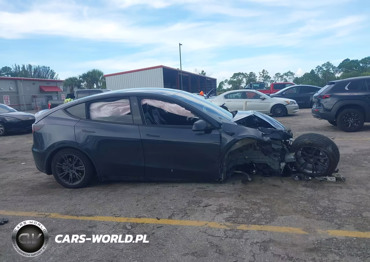 2024 Tesla Model Y VIN:7SAYGDED7RF096387 - 11