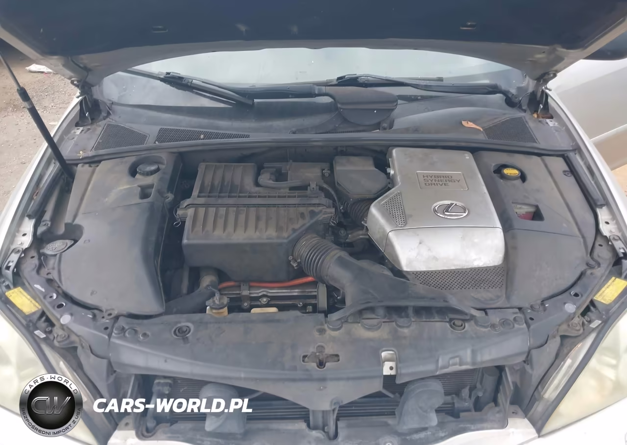 2006 Lexus Rx 400H VIN:JTJHW31U860024587 - 10