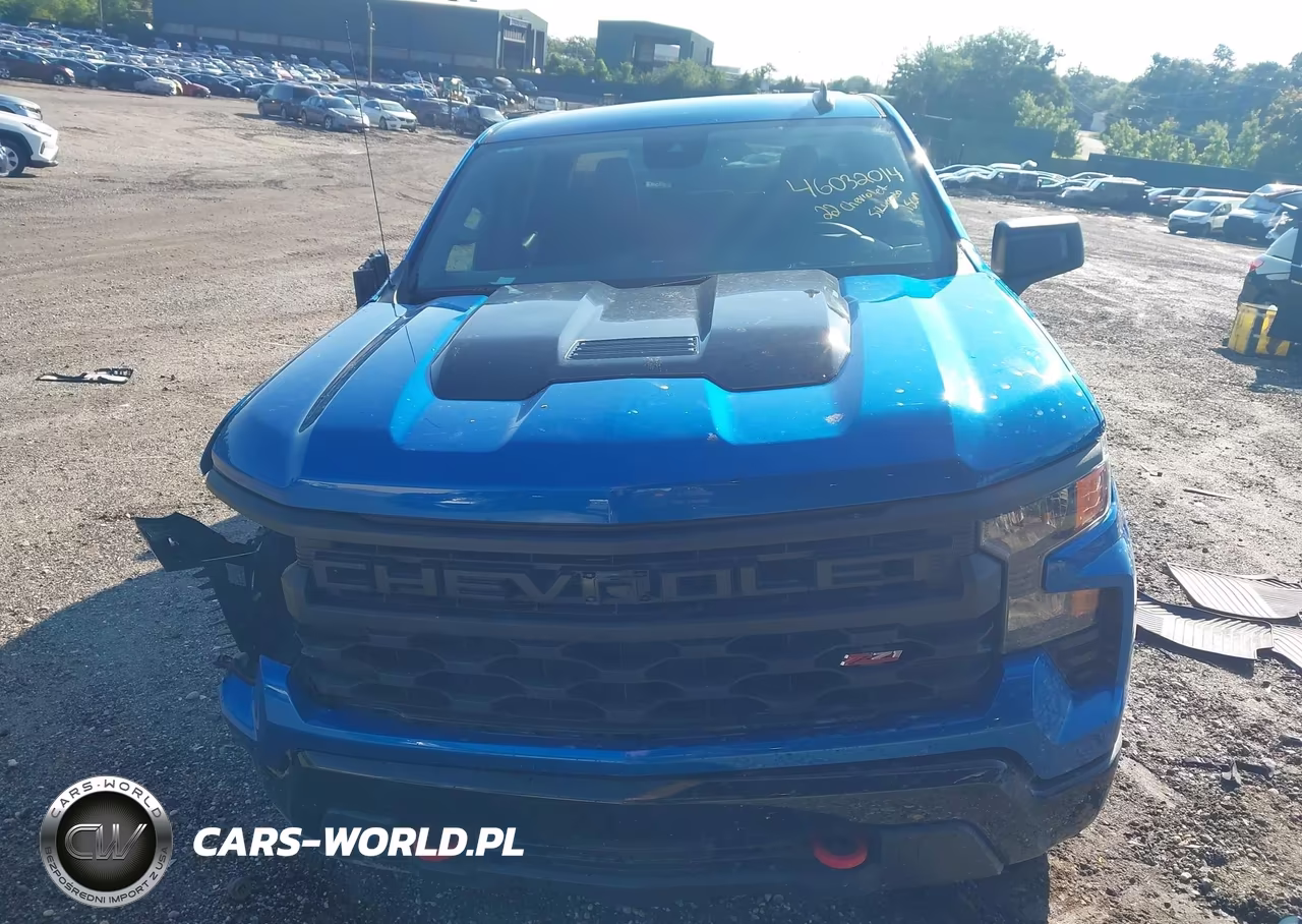 2022 Chevrolet Silverado 1500 4Wd Short Bed Custom Trail Boss VIN:3GCPDCED0NG679125 - 12