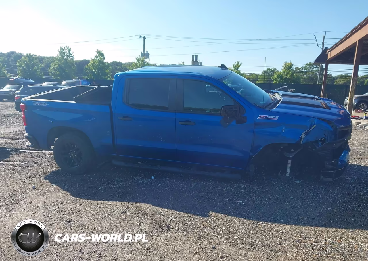 2022 Chevrolet Silverado 1500 4Wd Short Bed Custom Trail Boss VIN:3GCPDCED0NG679125 - 13