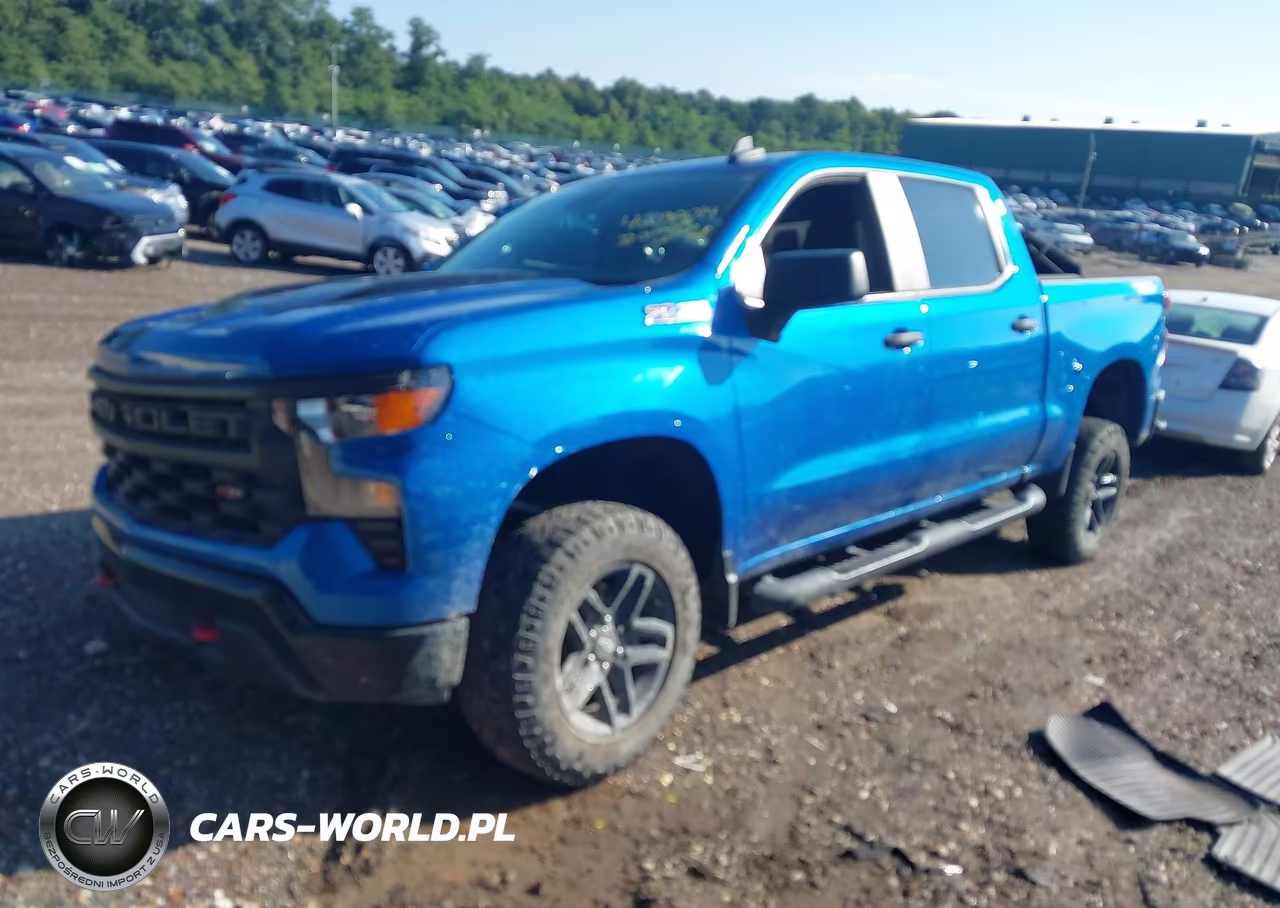 2022 Chevrolet Silverado 1500 4Wd Short Bed Custom Trail Boss VIN:3GCPDCED0NG679125 - 2