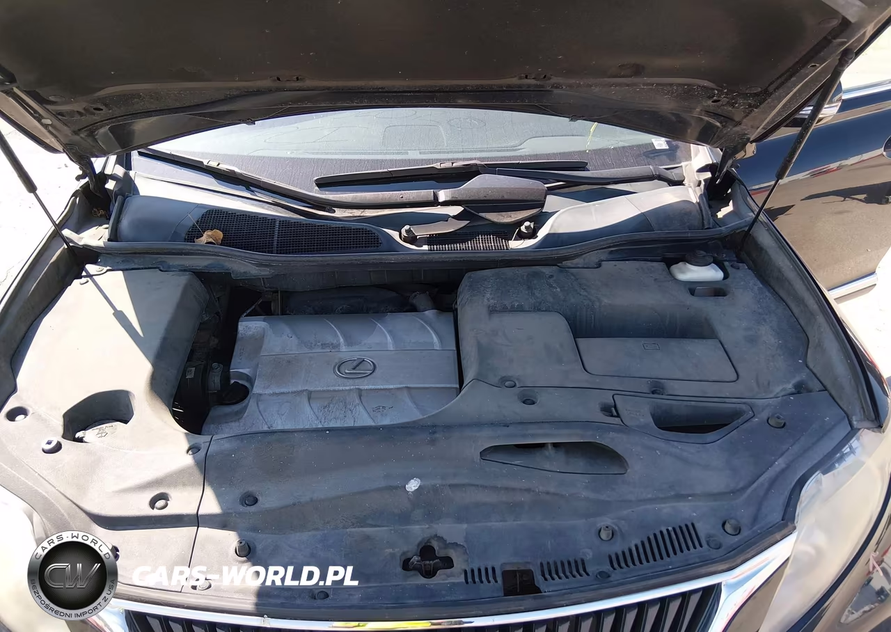2011 Lexus Rx 350 VIN:2T2BK1BA1BC088186 - 10
