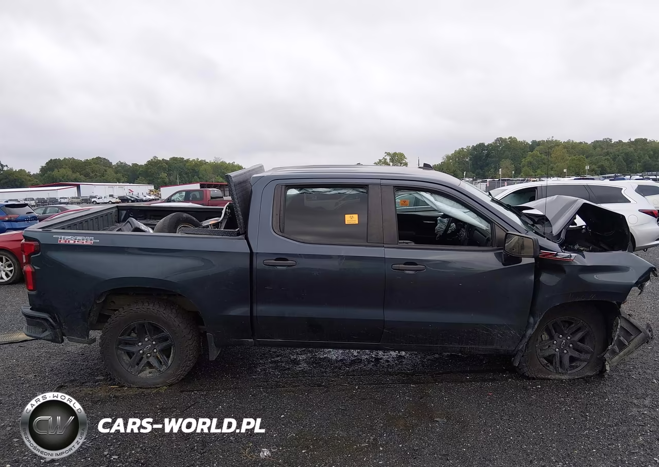 2021 Chevrolet Silverado 1500 4Wd Short Bed Custom Trail Boss VIN:1GCPYCEF2MZ392308 - 12