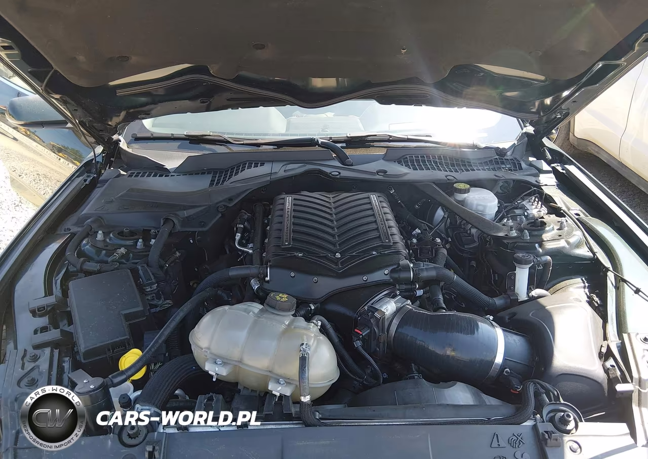 2019 Ford Mustang Bullitt VIN:1FA6P8K00K5500821 - 10