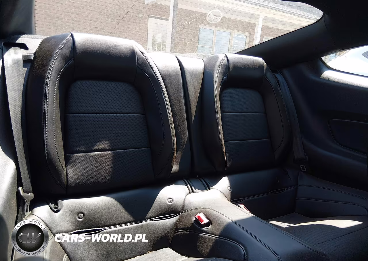 2019 Ford Mustang Bullitt VIN:1FA6P8K00K5500821 - 8