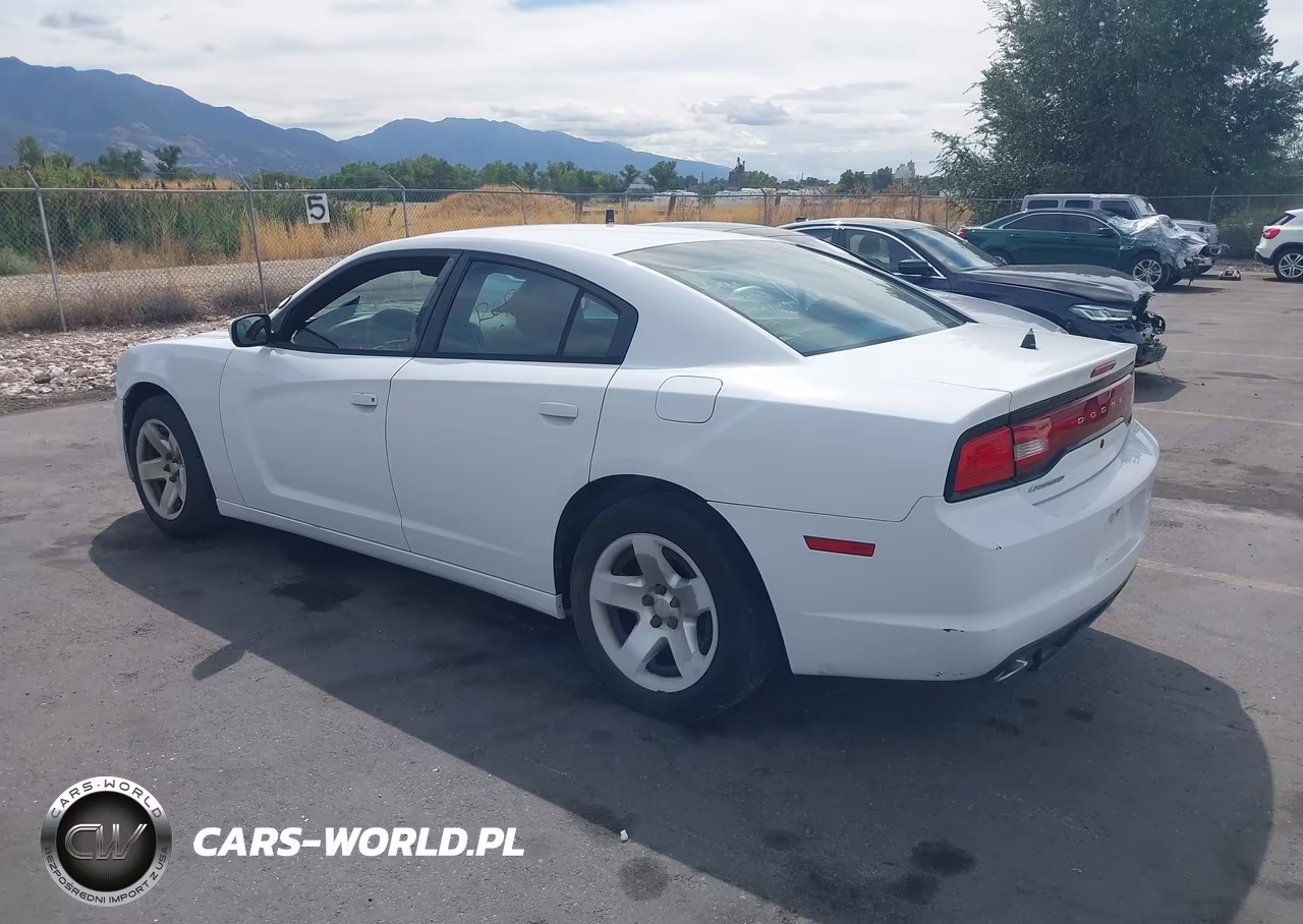 2013 Dodge Charger Police VIN:2C3CDXAT2DH610457 - 3