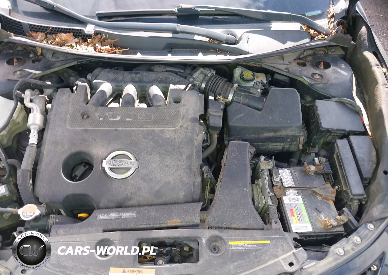 2013 Nissan Altima 3.5 Sv VIN:1N4BL3AP2DN425182 - 10