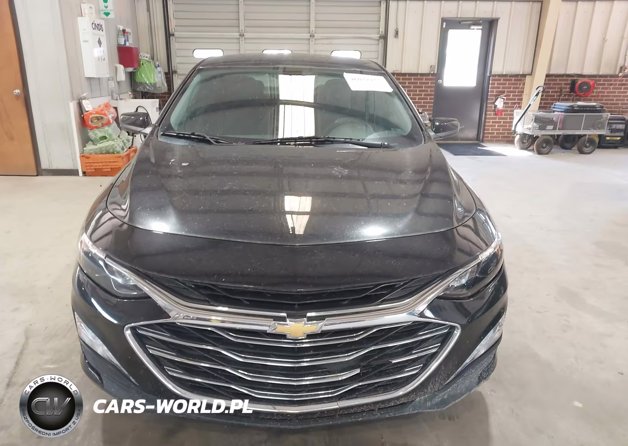 2019 Chevrolet Malibu Lt VIN:1G1ZD5ST9KF125443 - 12