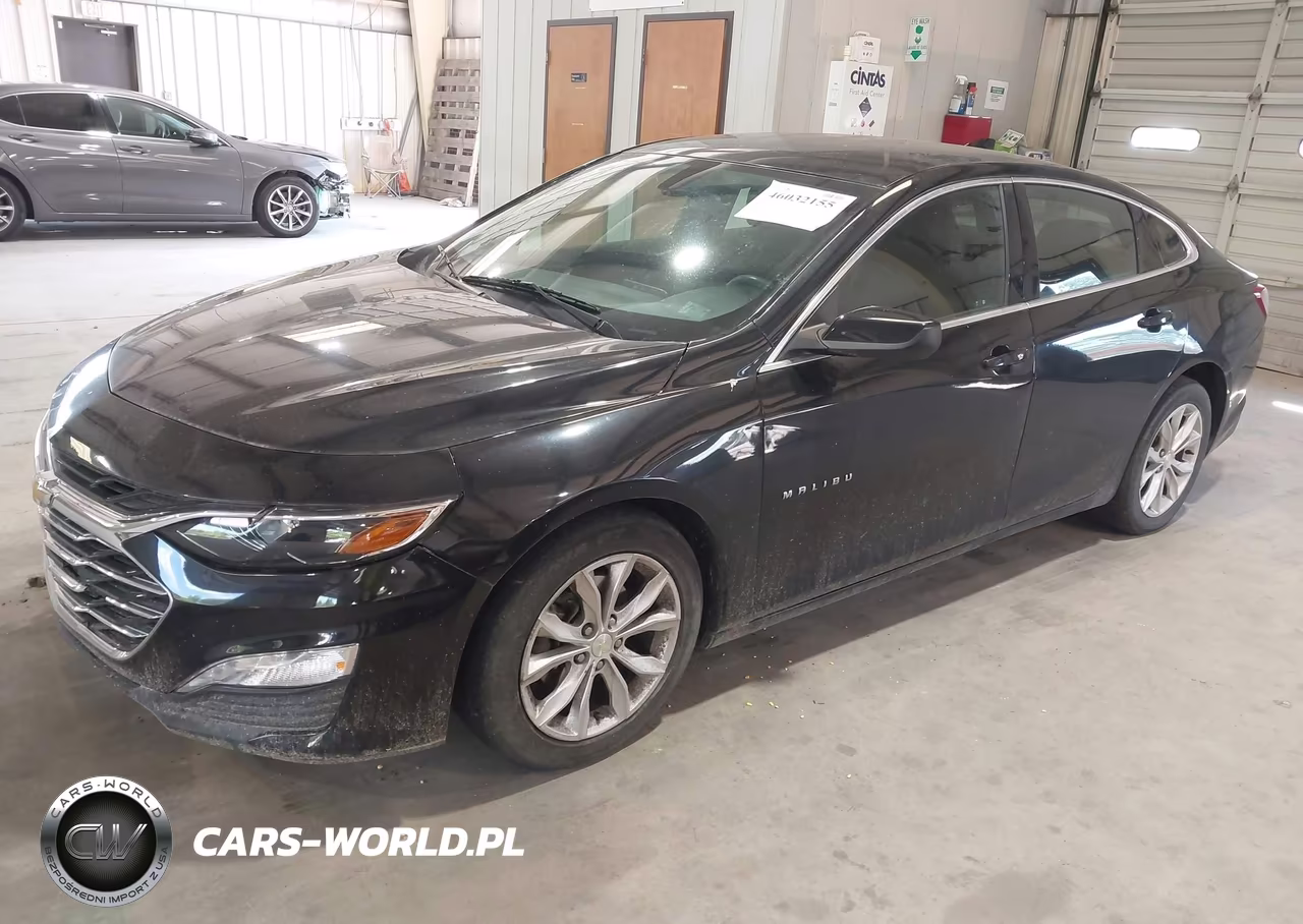 2019 Chevrolet Malibu Lt VIN:1G1ZD5ST9KF125443 - 2