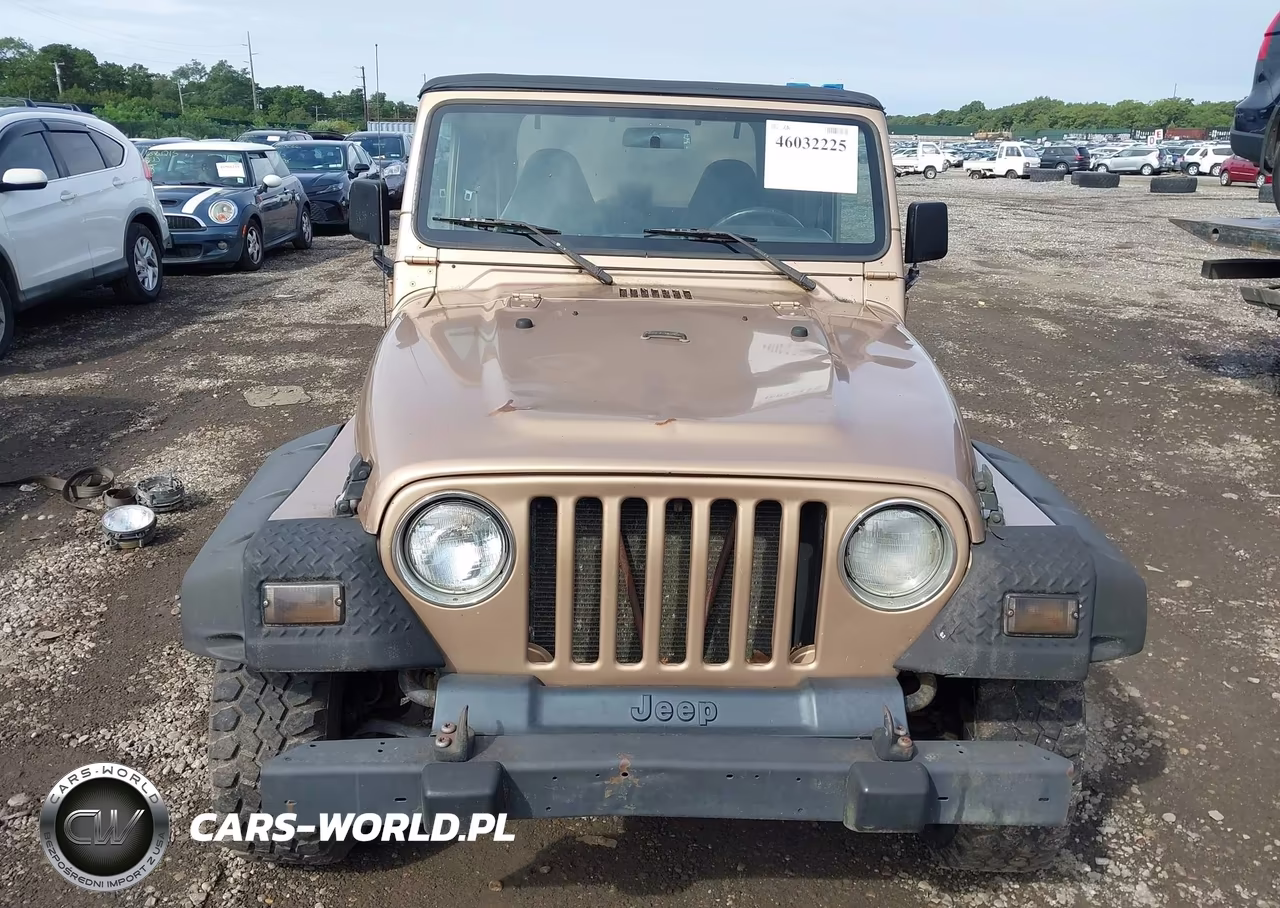 2002 Jeep Wrangler Sahara VIN:1J4FA59S42P749204 - 12