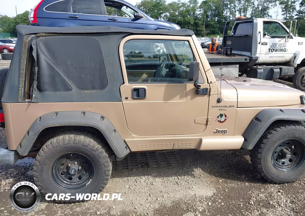 2002 Jeep Wrangler Sahara VIN:1J4FA59S42P749204 - 13