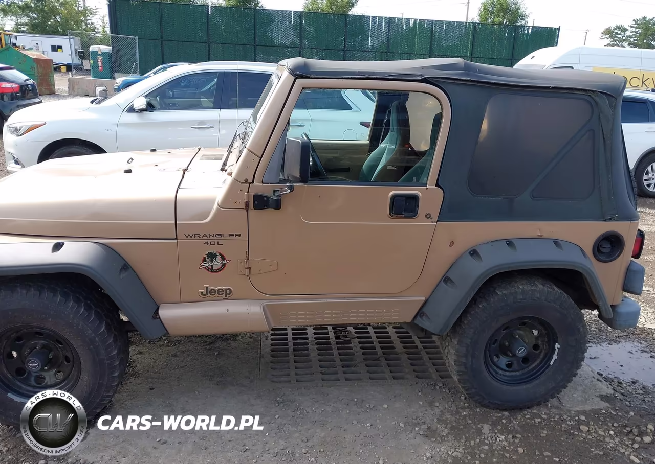 2002 Jeep Wrangler Sahara VIN:1J4FA59S42P749204 - 14
