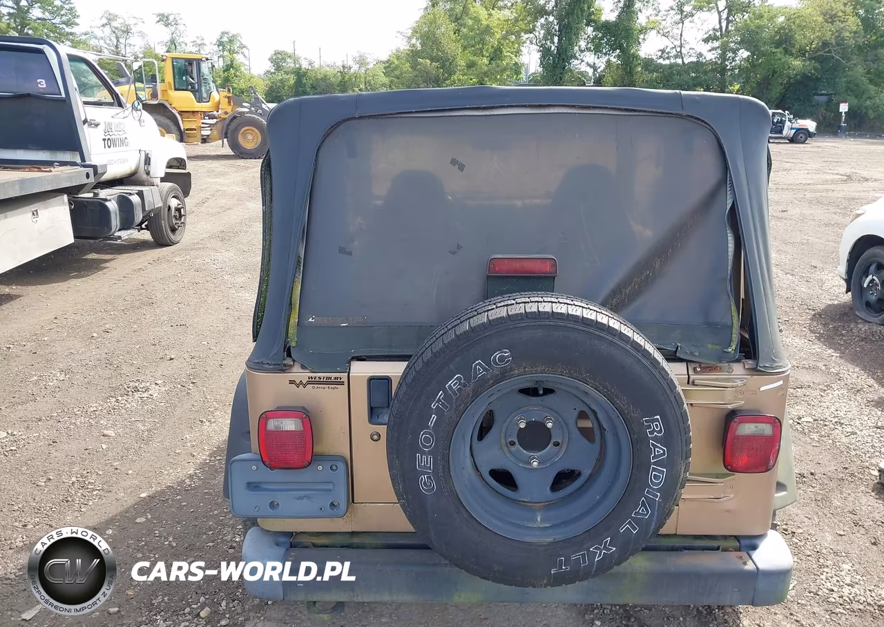 2002 Jeep Wrangler Sahara VIN:1J4FA59S42P749204 - 16