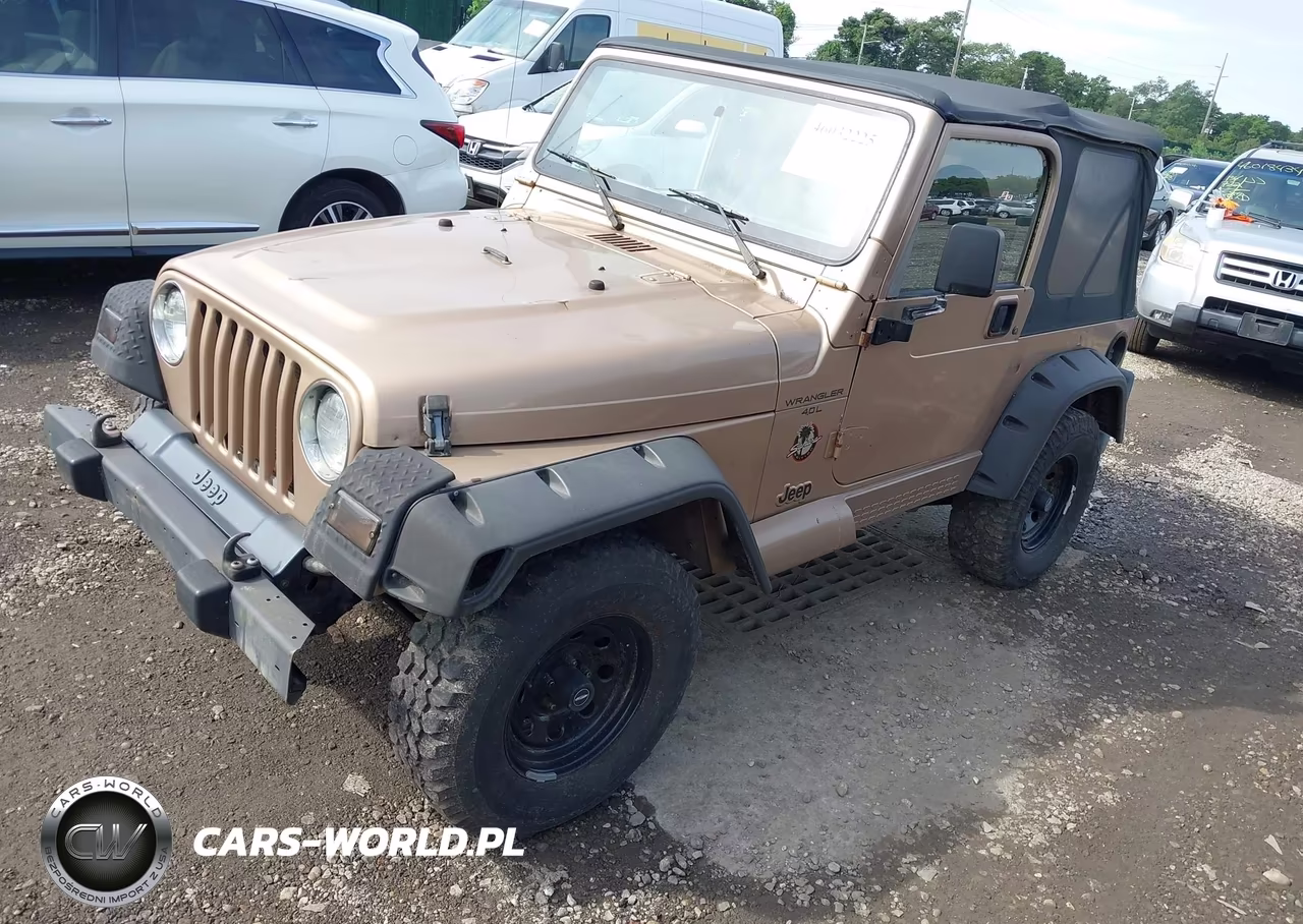 2002 Jeep Wrangler Sahara VIN:1J4FA59S42P749204 - 2