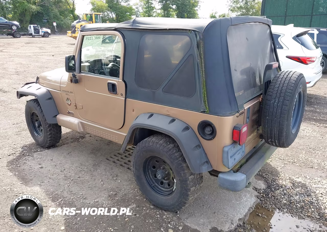 2002 Jeep Wrangler Sahara VIN:1J4FA59S42P749204 - 3