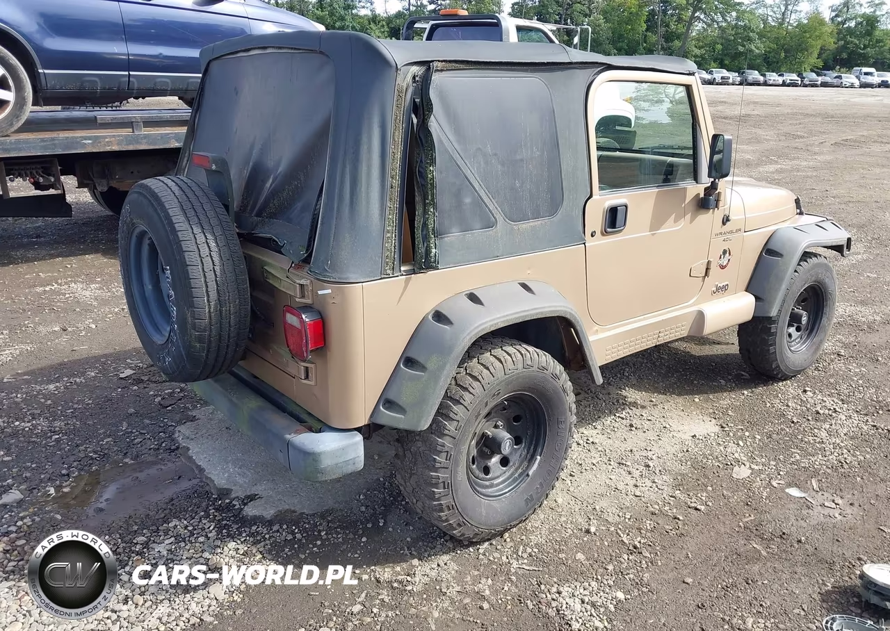 2002 Jeep Wrangler Sahara VIN:1J4FA59S42P749204 - 4