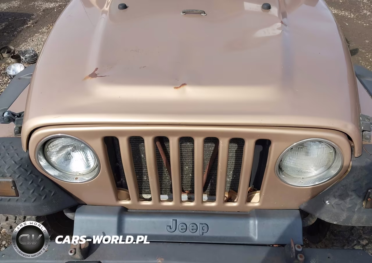 2002 Jeep Wrangler Sahara VIN:1J4FA59S42P749204 - 6
