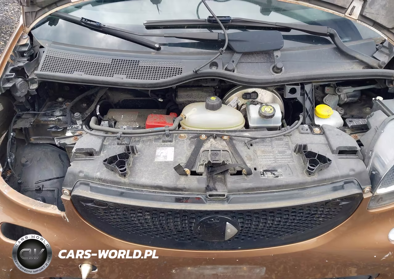2016 Smart Fortwo Passion VIN:WMEFJ5DA6GK057925 - 10