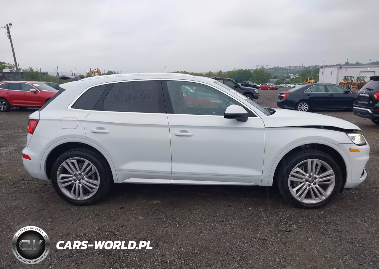 2020 Audi Q5 Premium Plus 45 Tfsi Quattro S Tronic VIN:WA1BNAFY6L2024612 - 13