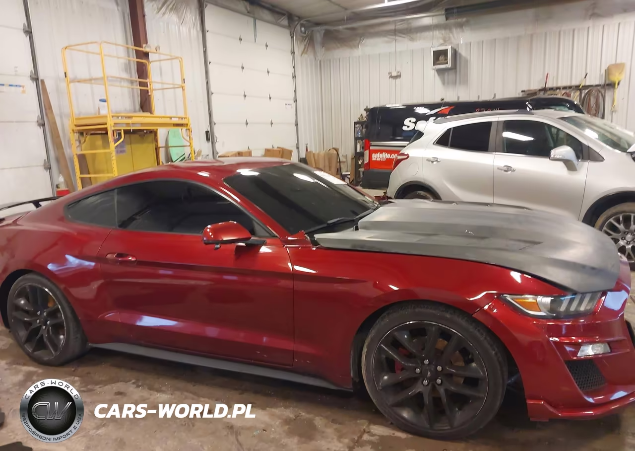 2016 Ford Mustang Ecoboost VIN:1FA6P8TH2G5272493 - 13