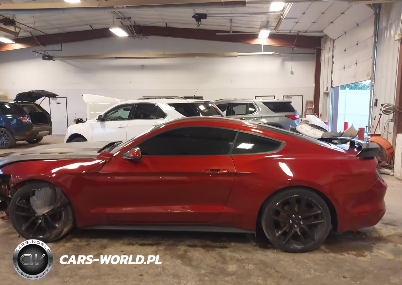 2016 Ford Mustang Ecoboost VIN:1FA6P8TH2G5272493 - 14