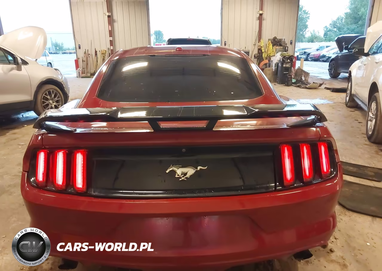 2016 Ford Mustang Ecoboost VIN:1FA6P8TH2G5272493 - 16
