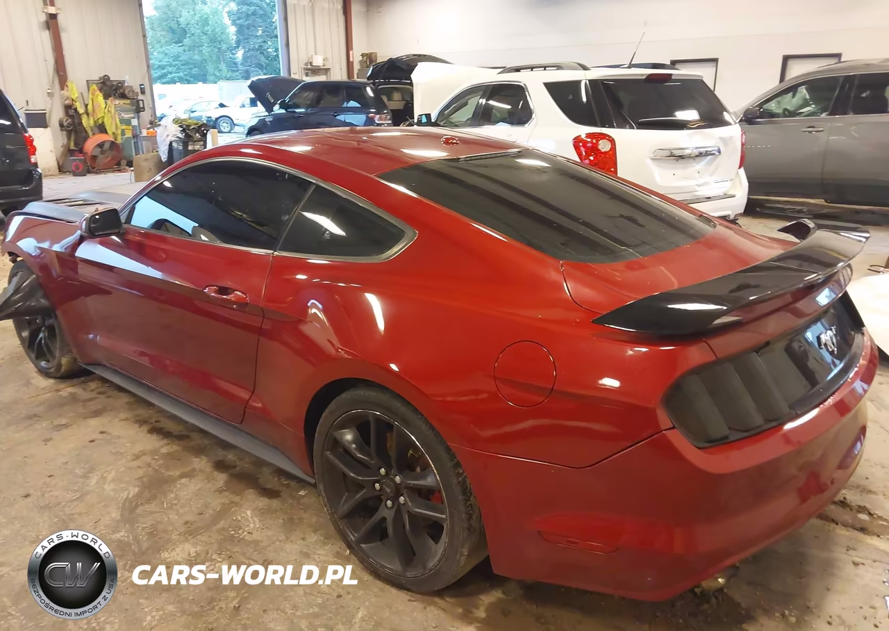 2016 Ford Mustang Ecoboost VIN:1FA6P8TH2G5272493 - 3