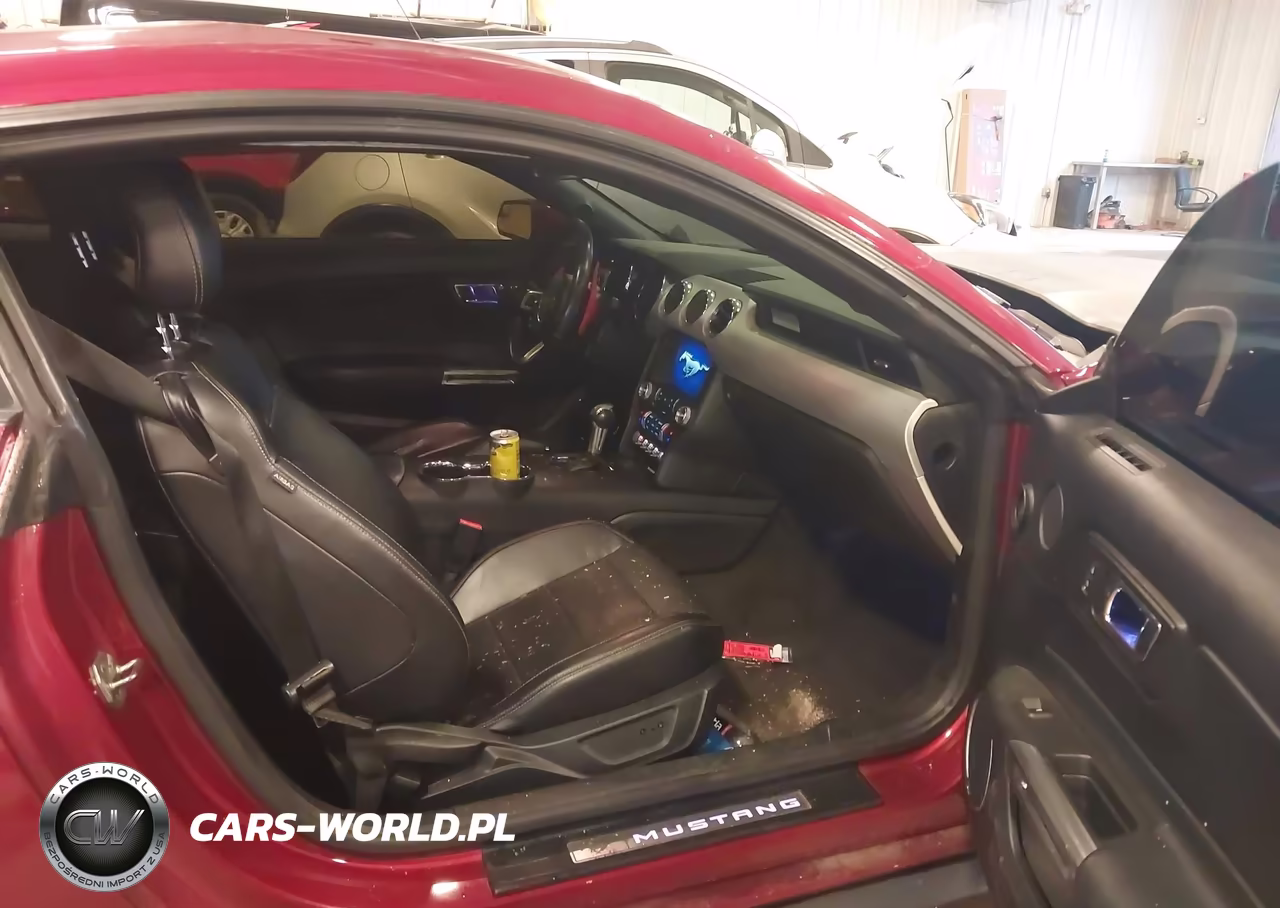 2016 Ford Mustang Ecoboost VIN:1FA6P8TH2G5272493 - 5