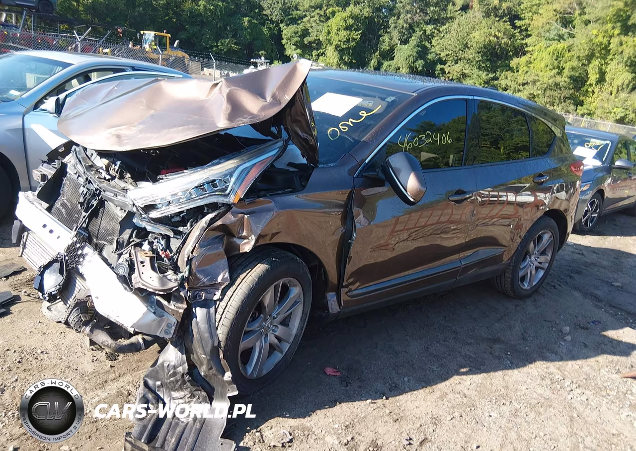 2019 Acura Rdx Advance Package VIN:5J8TC2H74KL006114 - 2