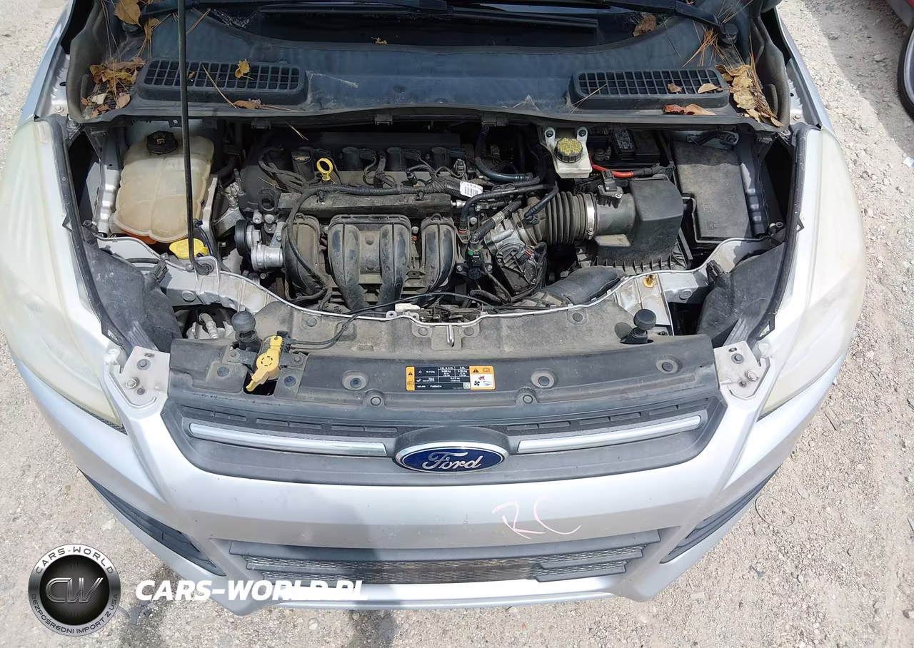 2016 Ford Escape Se VIN:1FMCU0G75GUB23246 - 10
