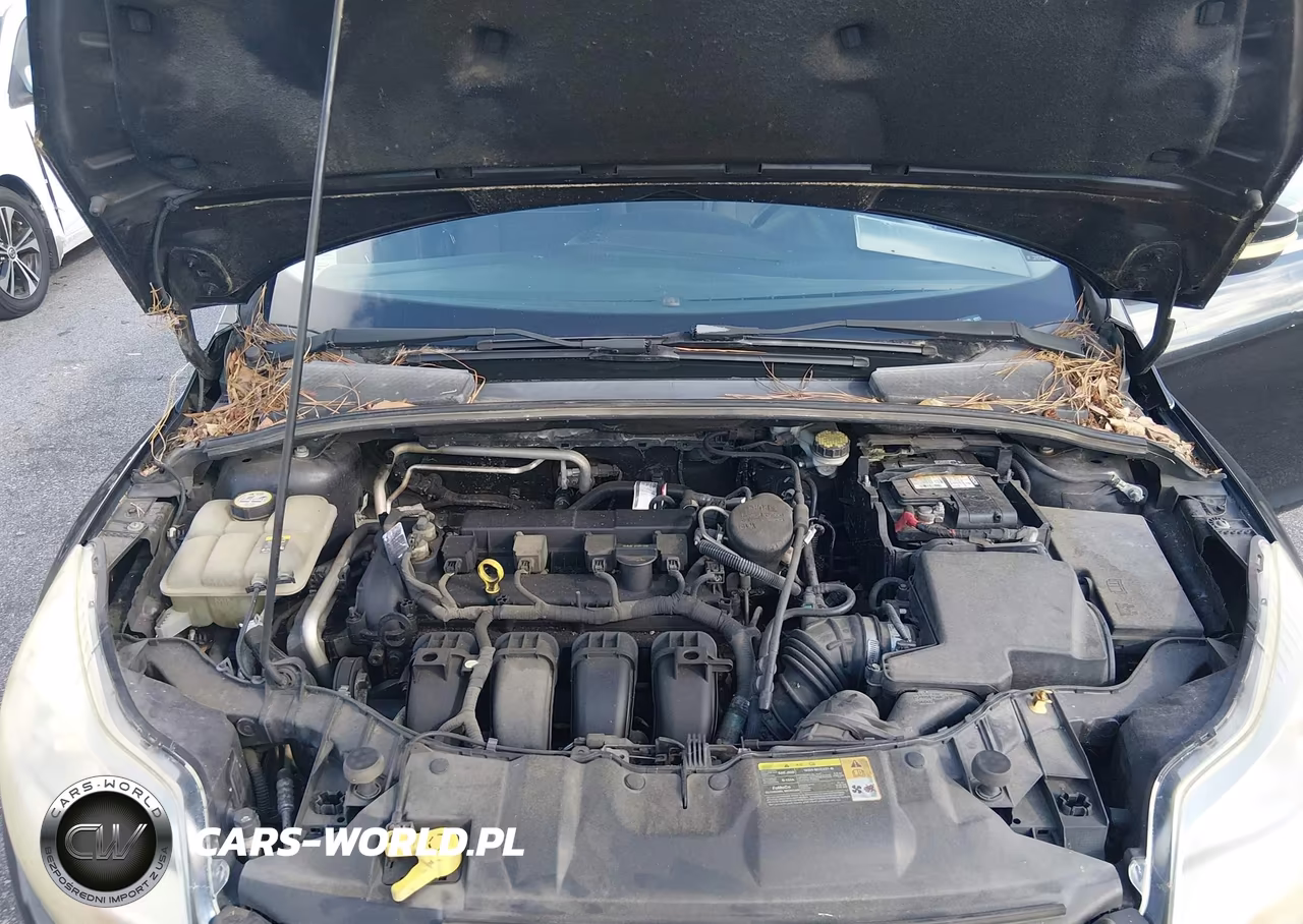 2012 Ford Focus Sel VIN:1FAHP3H23CL297599 - 10