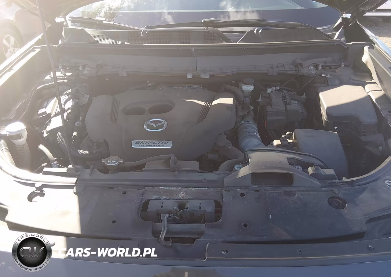 2018 Mazda Cx-9 Touring VIN:JM3TCBCY6J0224271 - 10