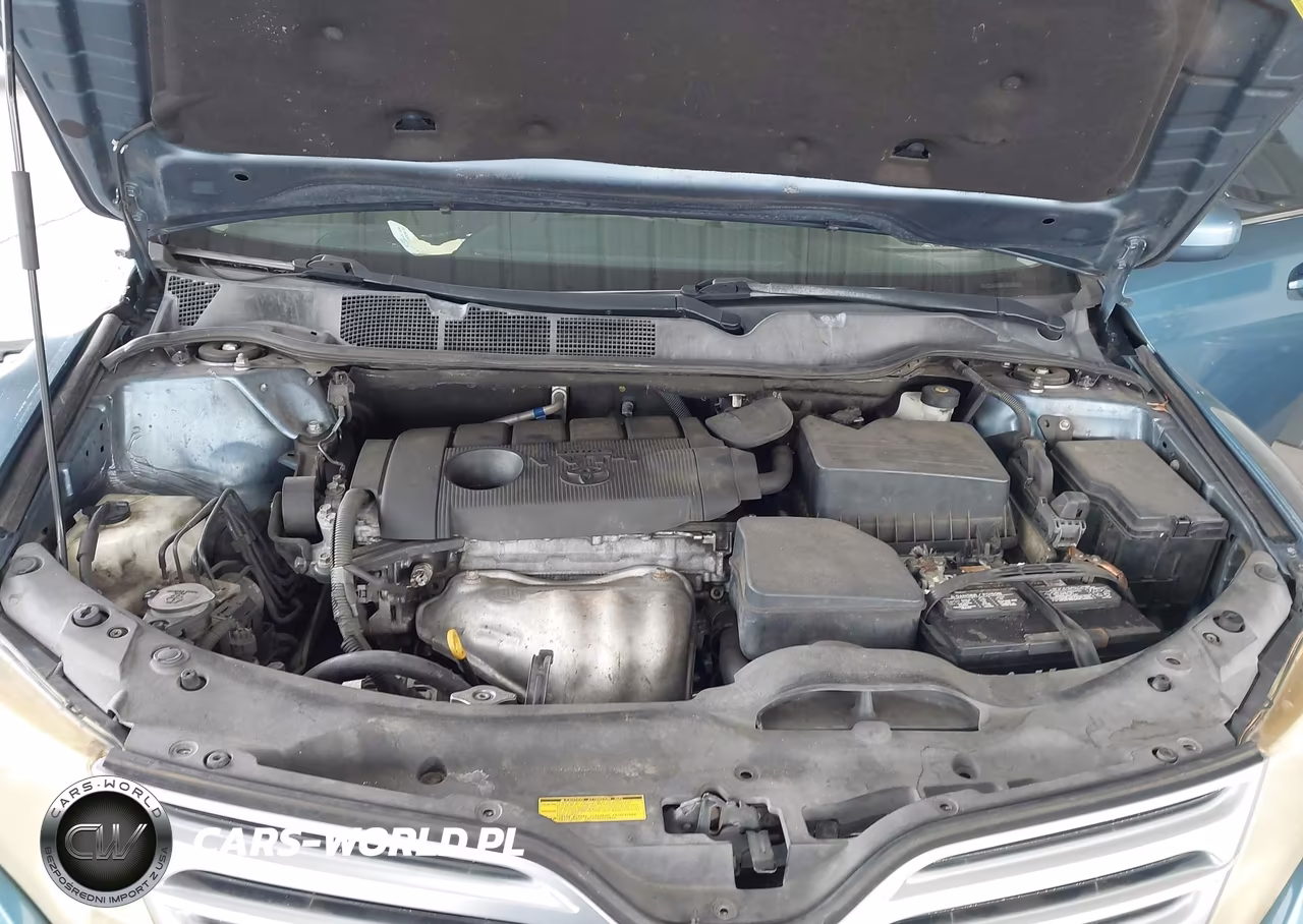 2010 Toyota Venza VIN:4T3ZA3BB2AU024771 - 10