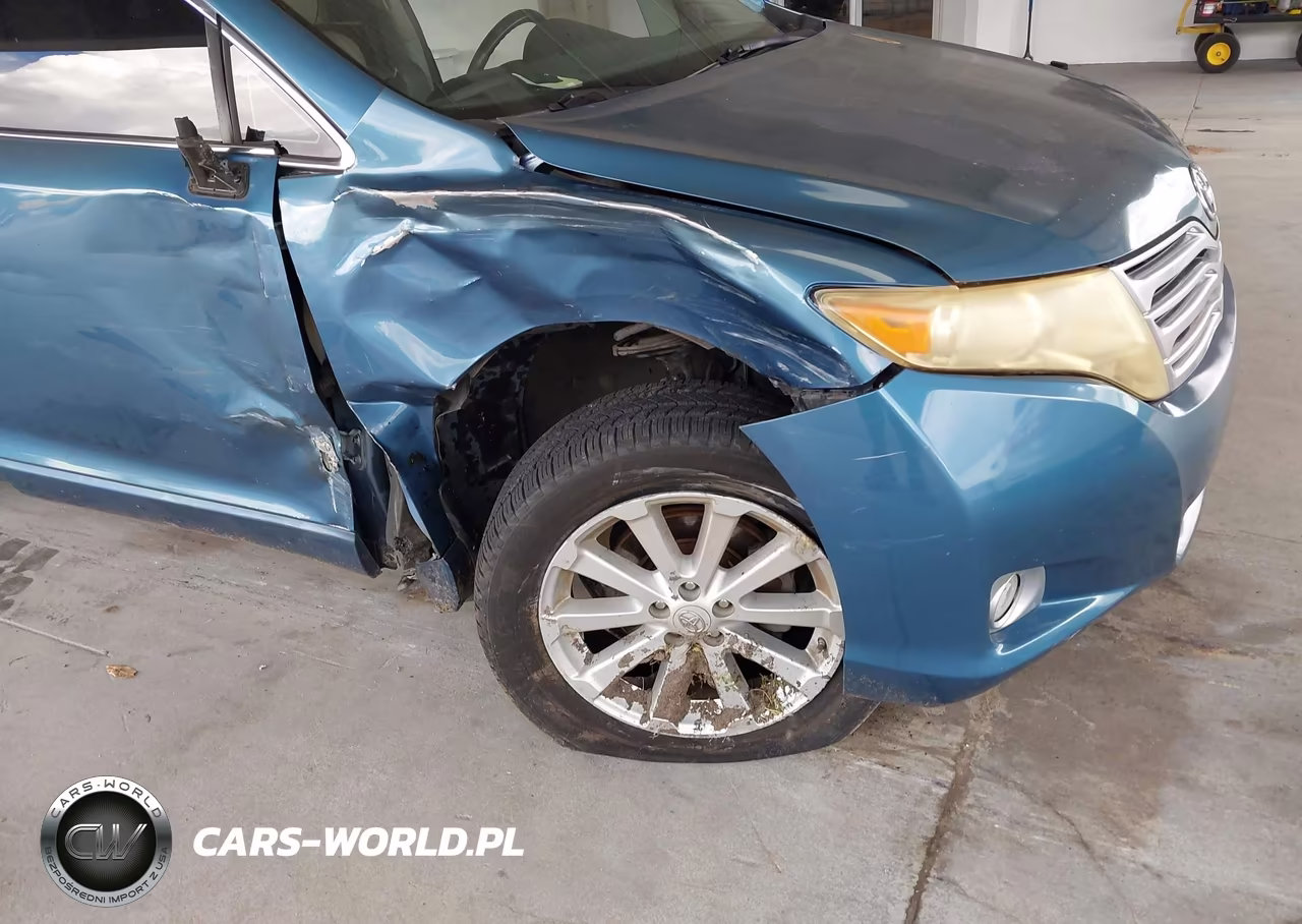 2010 Toyota Venza VIN:4T3ZA3BB2AU024771 - 6