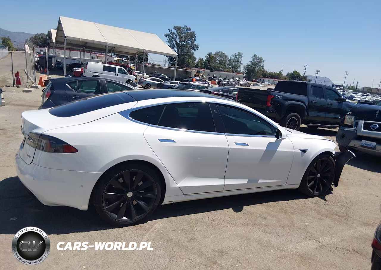 2018 Tesla Model S 100D-75D-P100D VIN:5YJSA1E2XJF273035 - 12